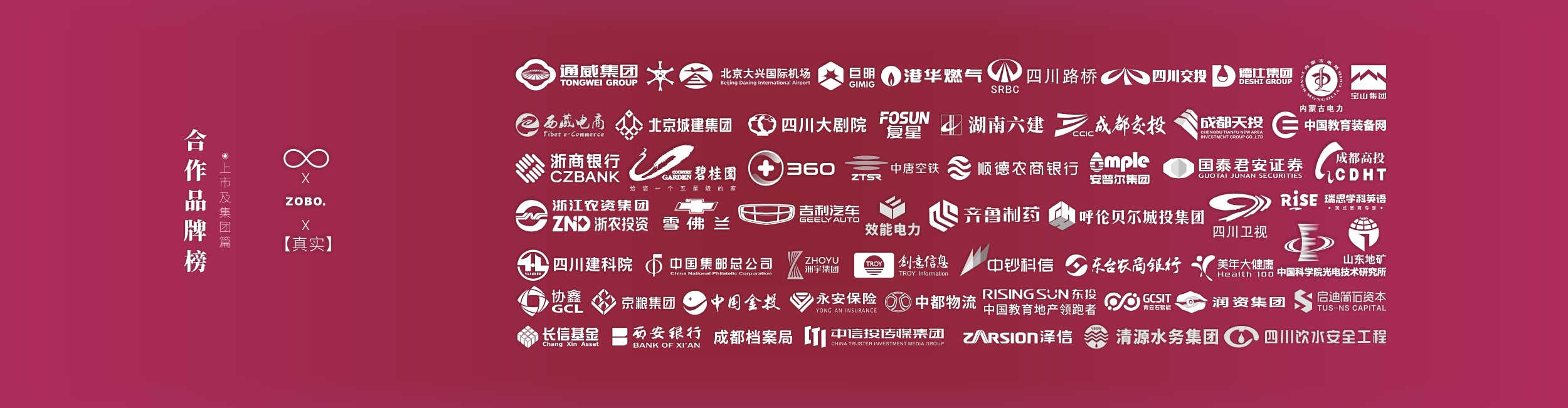 上市及集团公司客户