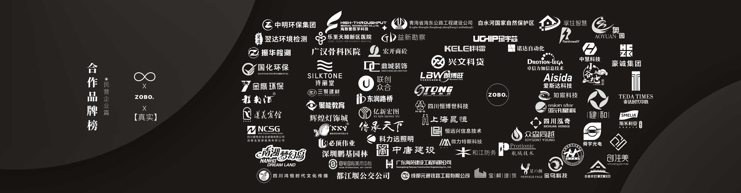 民营企业合作伙伴