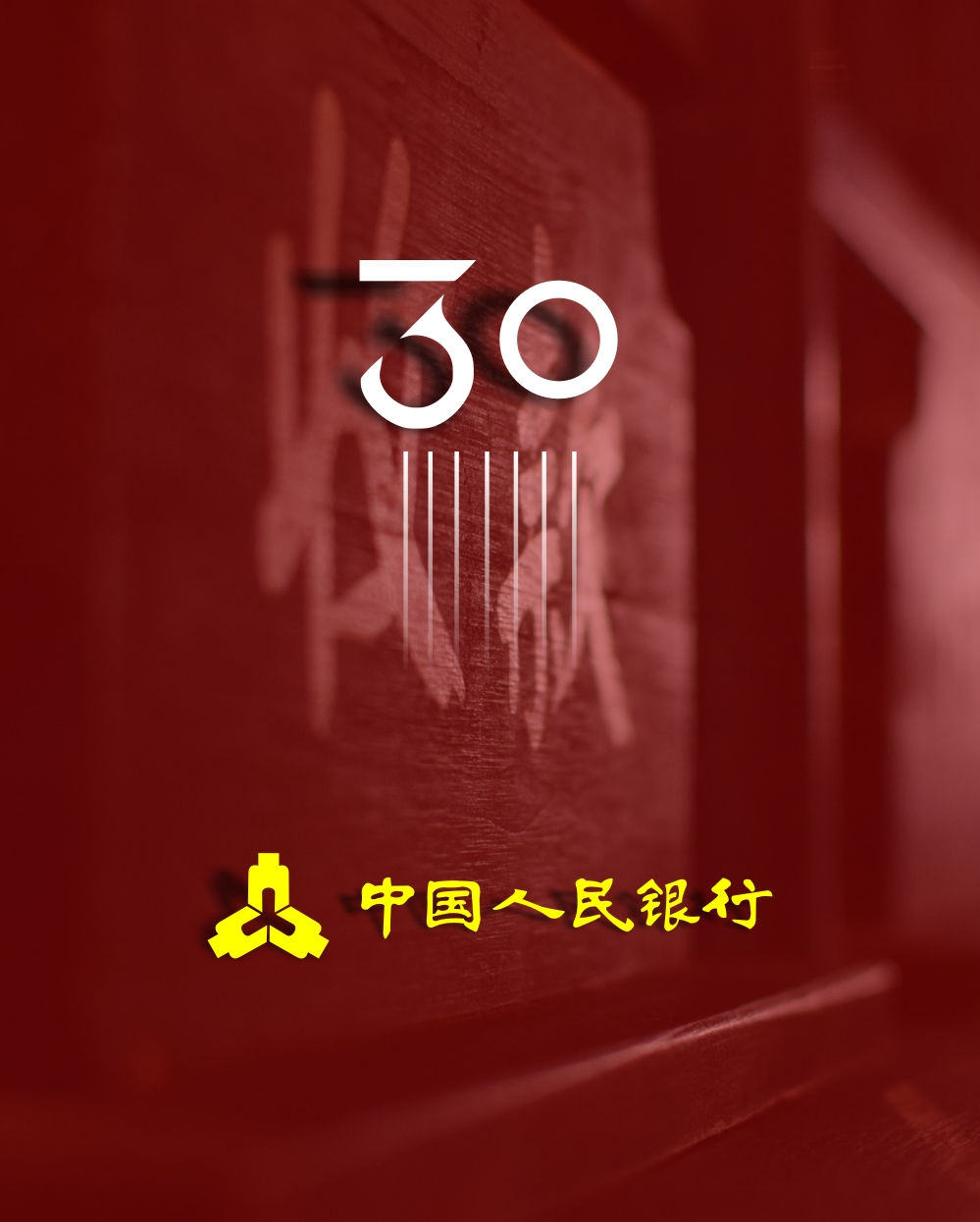 企业30周年画册